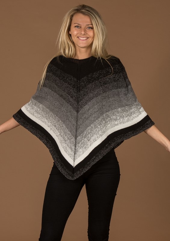 Poncho i Mayflowers 4