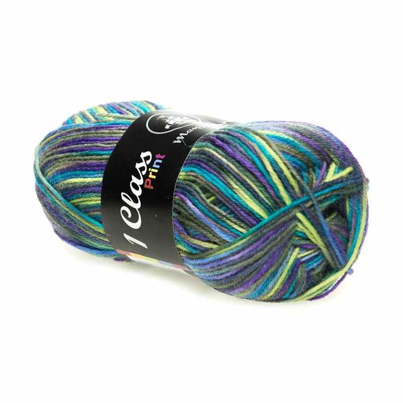 Mayflower 1 Class PRINT